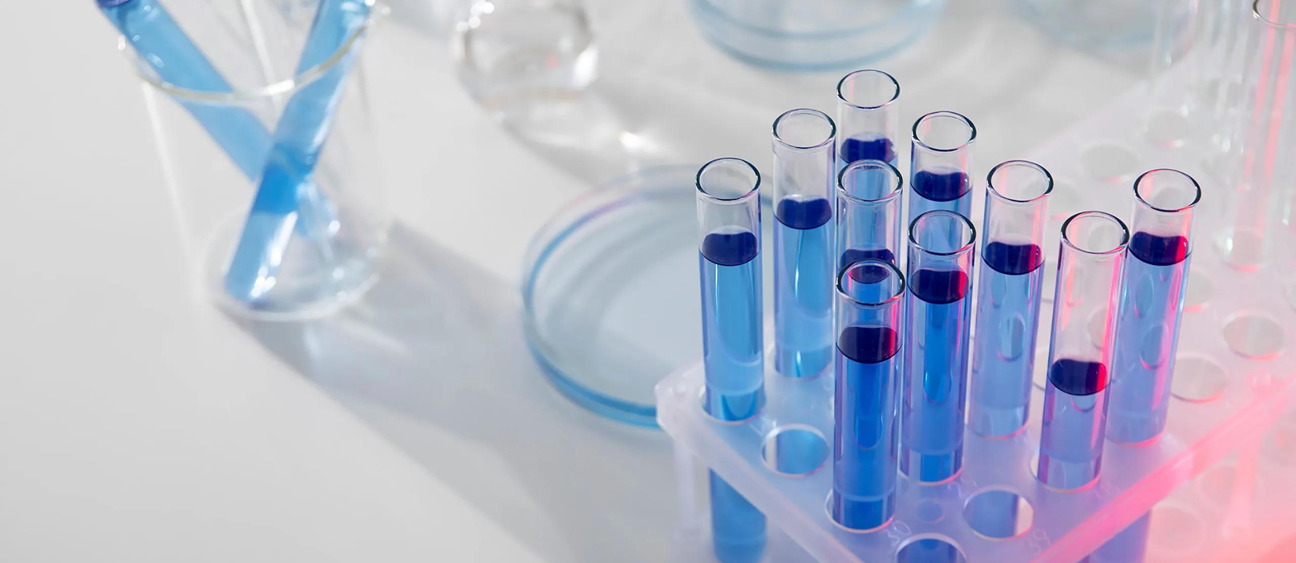 banner-image-1_result